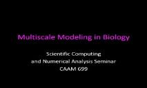 Multiscale Modeling in Biology PowerPoint Presentation