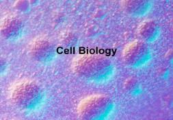 Cell Biology PowerPoint Presentation