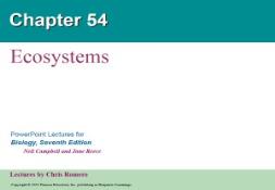 Ecosystems Biology Junction PowerPoint Presentation