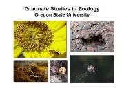 Graduate Studies in Zoology (Department of Zoology) Powerpoint Presentation