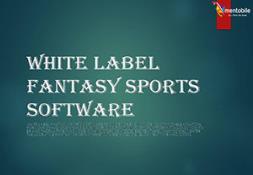White Label Fantasy sports software PowerPoint Presentation