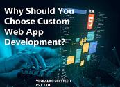 Why should you choose custom web app development Powerpoint Presentation