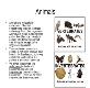 Animals Overview Powerpoint Presentation