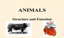 ANIMALS PowerPoint Presentation