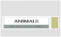 Animals - SchoolWorld PowerPoint Presentation