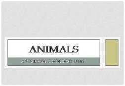 Animals - SchoolWorld PowerPoint Presentation