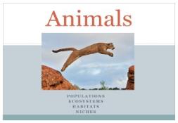 Animals wiki PowerPoint Presentation
