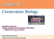 Conservation Biology Powerpoint Presentation