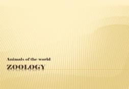 Zoology PowerPoint Presentation