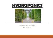Hydroponics Farming Powerpoint Presentation