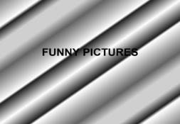 FUNNY PICTURES PowerPoint Presentation