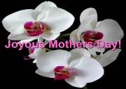 Joyous Mothers Day Powerpoint Presentation