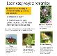 How to Identify Butterflies Powerpoint Presentation