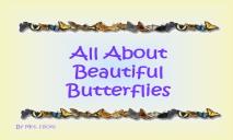 Butterflies PowerPoint Presentation