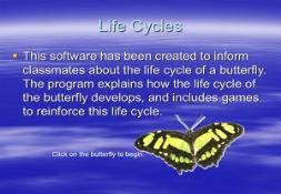 Butterfly Life Cycle PowerPoint Presentation