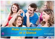 Male Contraception at a glance Powerpoint Presentation