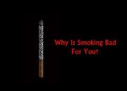 Why Is Smoking Bad For You Powerpoint Presentation