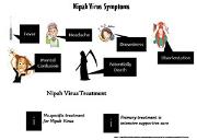Nipah Virus Symptoms and  Treatment Powerpoint Presentation