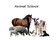 Animal Science Powerpoint Presentation