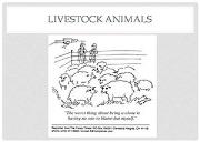 Livestock Animals Powerpoint Presentation