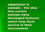Adaptation In Animals Powerpoint Presentation
