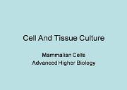 Cell And Tissue Culture Powerpoint Presentation