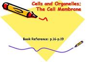 Cell Membrane Tissues & Organs Definitions Powerpoint Presentation