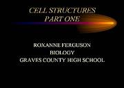 Cell Structure And Function Powerpoint Presentation
