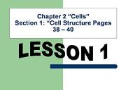 Cell Structure Powerpoint Presentation