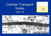 Cell Transport Powerpoint Presentation