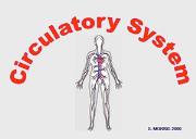 Circulatory System Powerpoint Presentation