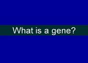 Gene Function And Structure Powerpoint Presentation