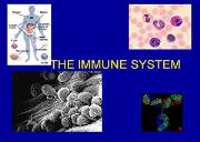 The Immune System Powerpoint Presentation