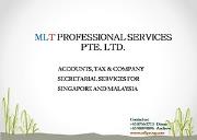 COMPANY SECRETARIAL SERVICE FOR SINGAPORE AND MALAYSIA Powerpoint Presentation