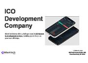 ICO Development Company Powerpoint Presentation