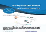 Immunoprecipitation Workflow and Troubleshooting Tips Powerpoint Presentation