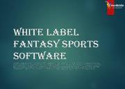 White Label Fantasy sports software Powerpoint Presentation