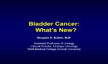 Superficial Bladder Cancer PowerPoint Presentation