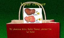 What is Liver cancer PowerPoint Presentation