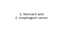 Stomach and esophageal cancer PowerPoint Presentation