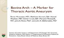 Bovine Arch-A Marker for Thoracic Aortic Aneurysm-American PowerPoint Presentation