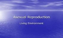 Asexual Reproduction PowerPoint Presentation