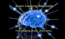 Brain Imaging Methods PowerPoint Presentation