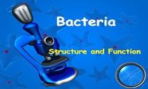Structure of Bacteria PowerPoint Presentation