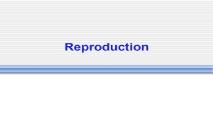 Intro (MITOSIS)(Asexual Reproduction) PowerPoint Presentation