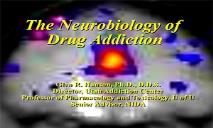 The Neurobiology of Drug Addiction PowerPoint Presentation