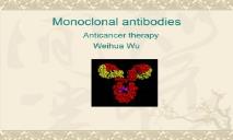 About Monoclonal Antibodies PowerPoint Presentation