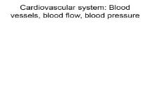 Cardiovascular system-Blood vessels blood flow blood pressure PowerPoint Presentation