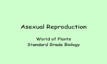 Asexual Reproduction-Wikispaces PowerPoint Presentation