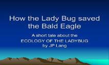 How the Lady Bug saved the Bald Eagle PowerPoint Presentation